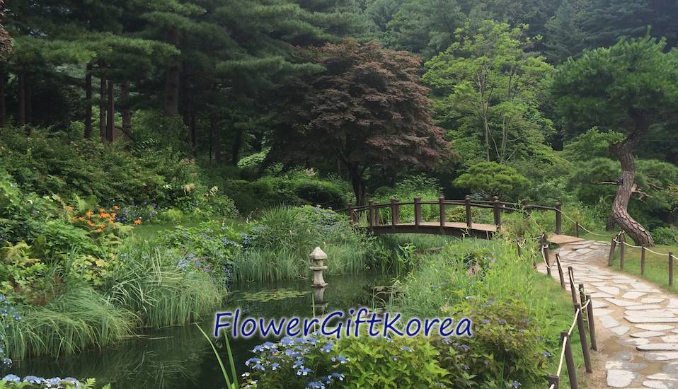 Flower Gift Korea at the Korean Garden