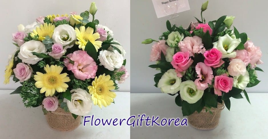 Send Deliver a flower of the day to Seoul South Korea today